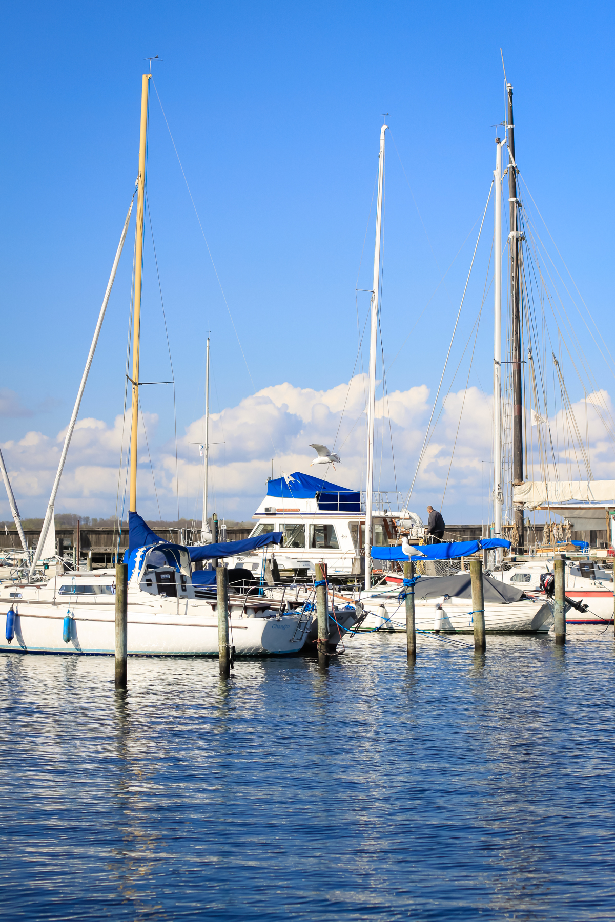 A visit to the Viking Ship Museum in Roskilde, Denmark is perfect for toddlers.