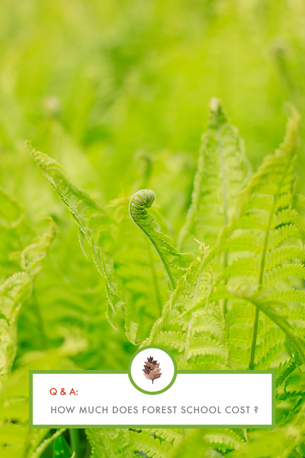 Costs and tuition for forest school in Copenhagen, Denmark.